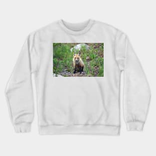 Satisfied Fox Crewneck Sweatshirt